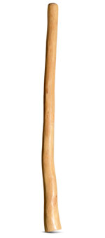 Medium Size Natural Finish Didgeridoo (TW1187)